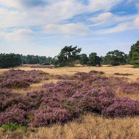 Holiday home Holiday Recreatiepark De Boshoek.2 Voorthuizen